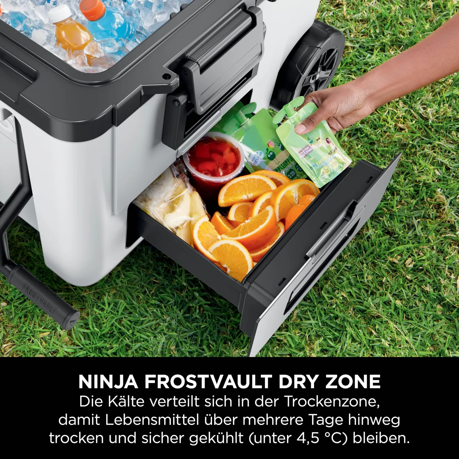 Ninja FrostVault Kühlbox 42 L mit Rollen Weiß Dry-Zone