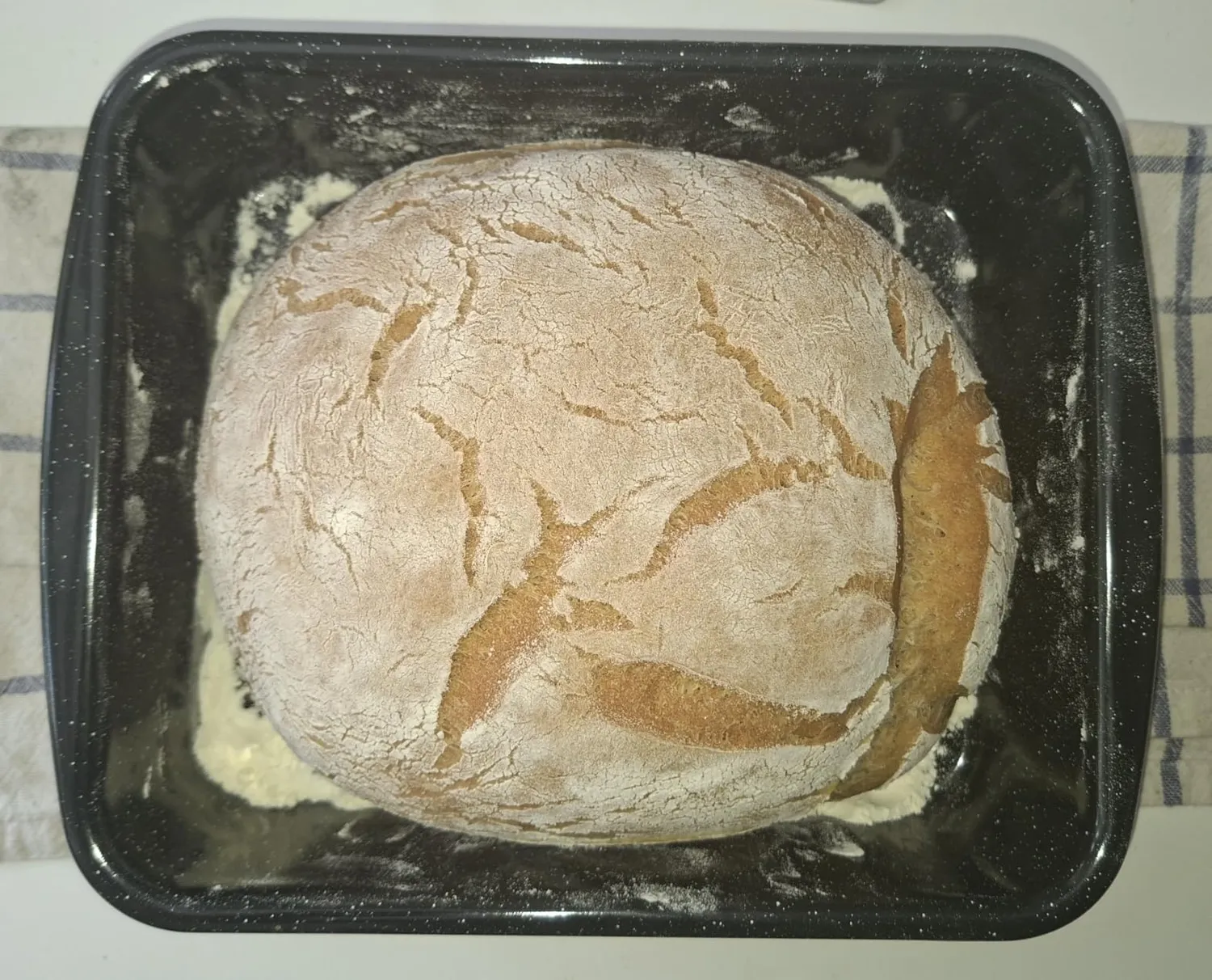 GastroHero Planetenrührwerk YPL7 Knetmaschine 7L