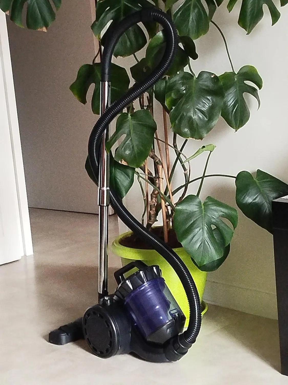 Zeegma Zonder Base Staubsauger beutellos 2,5 Liter