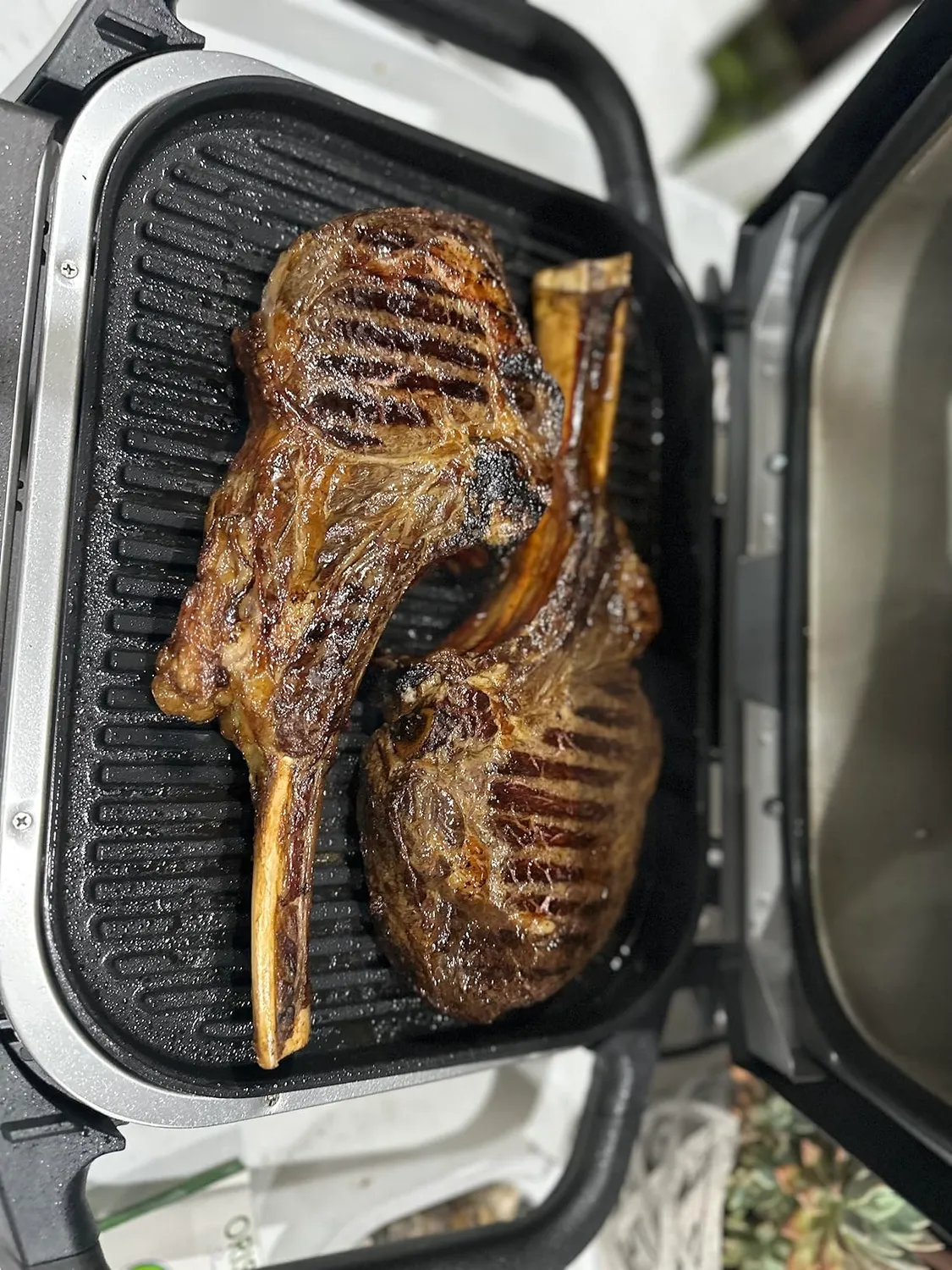 Ninja Woodfire OG701EU Elektrogrill 7-in-1 grau Outdoor